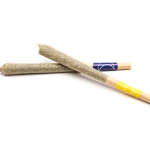 Buy Pre-Roll Joints Online in Portugal