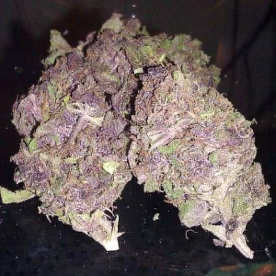 Buy Purple Haze Online in Portugal